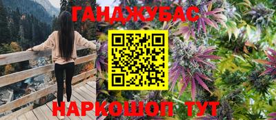 мяу мяу мука Кандалакша