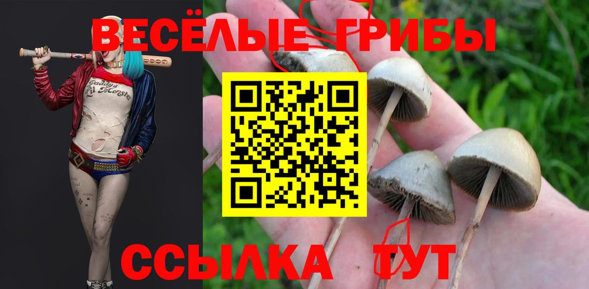 Каспийск  Псилоцибиновые грибы Cubensis  наркошоп  Вход с VPN 